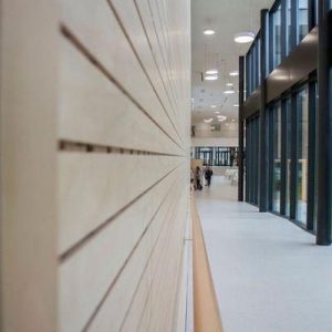 52747D56-C30F-4F35-B921-8CC014C7E49B